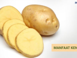 Ternyata Ini 4 Manfaat Konsumsi Kentang untuk Kesehatan Tubuh