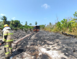 BNPB: Karhutla Meluas di Tiga Provinsi, Gempa Poso dan Aktivitas Gunung Lewotobi Meningkat Akhir Juli 2025