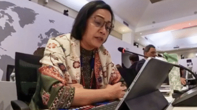 Sri Mulyani Paparkan Strategi Indonesia Atasi Tantangan Pembiayaan Pembangunan di G20
