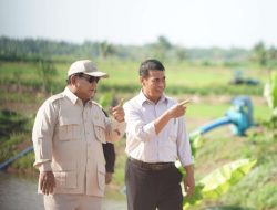 Amran Sulaiman Kepala Bapanas Baru! Rangkap Jabatan Mentan Perkuat Ketahanan Pangan Nasional