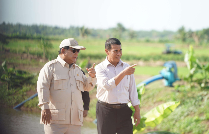 Resmi! Amran Sulaiman Kepala Bapanas, Kementan dan Bapanas