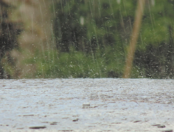 BRIN Catat Hujan Mikroplastik di Jakarta, Pakar ITS: Akibat Lemahnya Pengelolaan Sampah