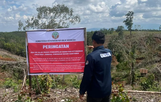 Kemenhut Investigasi Kerusakan Hutan Tapanuli: 12 Pihak Terindikasi