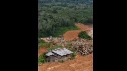 Demi Ambisi Emas,  PT Srinding Caplok Lahan dan Gusur Rumah Warga