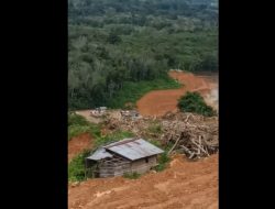 Demi Ambisi Emas,  PT Srinding Caplok Lahan dan Gusur Rumah Warga